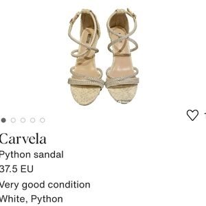 Carvel Kurt Geiger Python